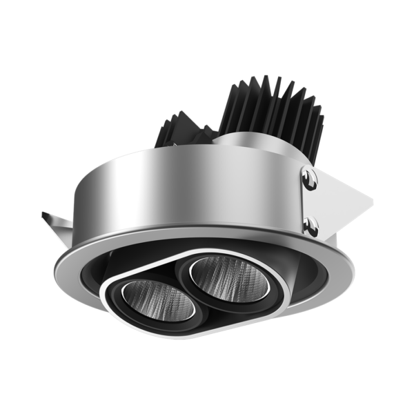 Magnus Recessed Adjustable 2X
