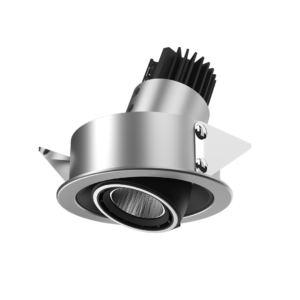 Magnus Recessed Adjustable 1X