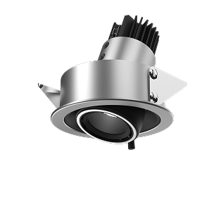 Adjustable Downlight