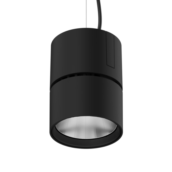 S Spot Pendant Segmented