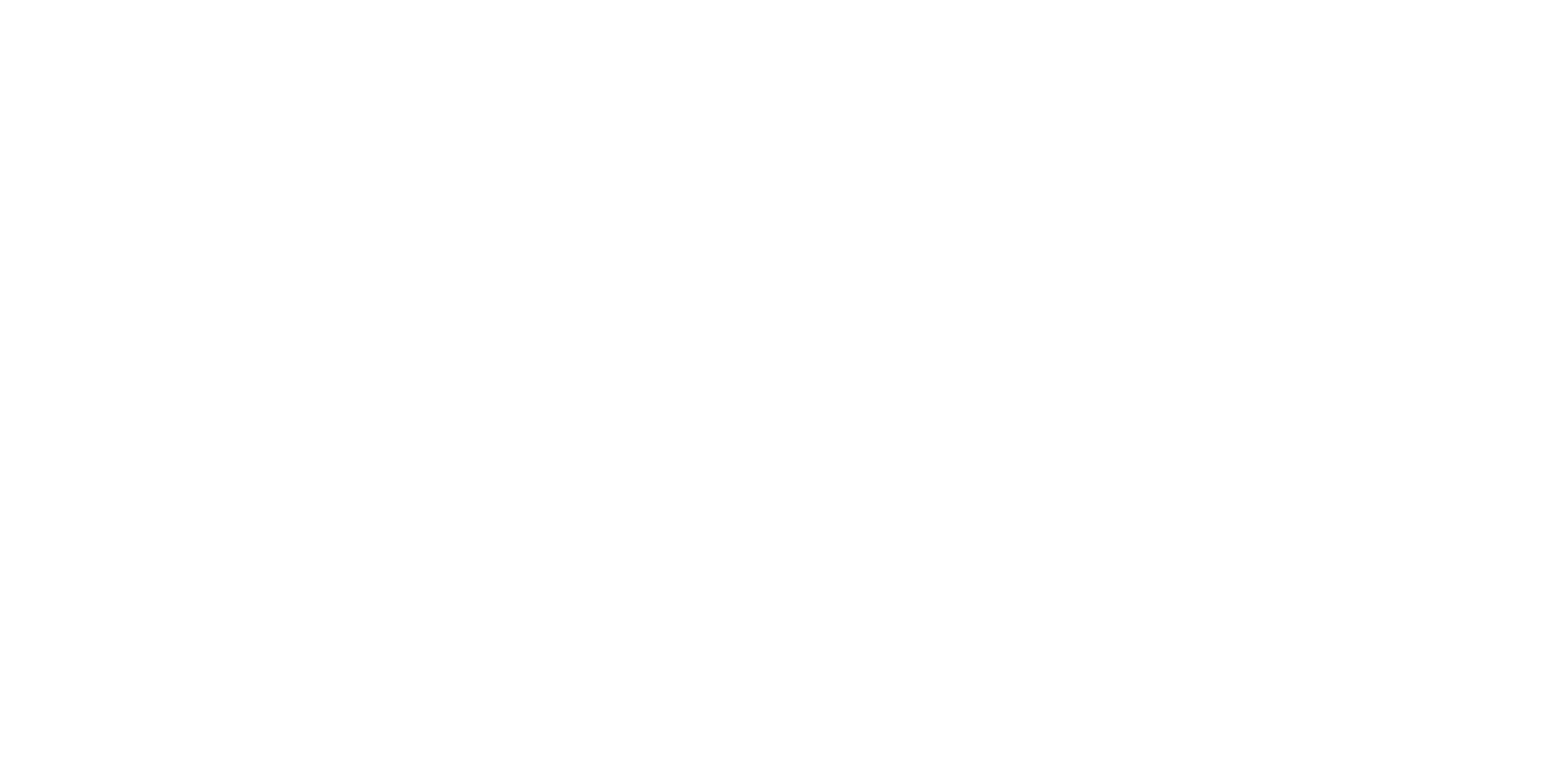 nano 4x_artboard (1)