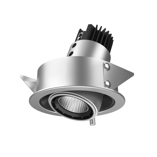 Magnus Recessed Adjustable 1X